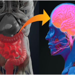 Health and Brain Fog