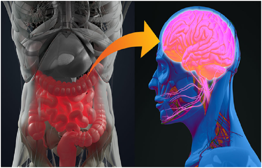 Health and Brain Fog