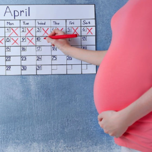 pregnancy calculator