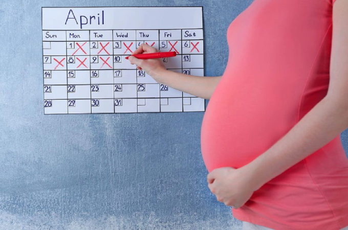 pregnancy calculator